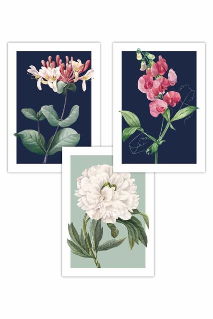 ARTZE Set of 3 Vintage Flowers Honeysuckle Blue & Green Art Posters in Navy - Size: W50 cm x H70 cm - image 1