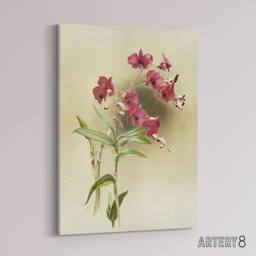 "Artery8 Frederick Sander Cooktown Pink Orchid Flowers Canvas Wall Art Print - Size: W12"" x H16""" - thumbnail 2