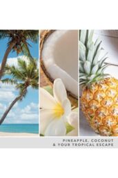 Yankee Candle Women's Signature Large Jar Coconut Beach in White - thumbnail 3