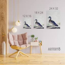"Artery8 Wood Duck Vintage Bird Oil Painting Schouman Canvas Wall Art Print in White - Size: W12"" x H16""" - thumbnail 4