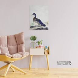 "Artery8 Wood Duck Vintage Bird Oil Painting Schouman Canvas Wall Art Print in White - Size: W12"" x H16""" - thumbnail 3