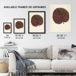 "Artery8 Vintage Botanical Gesnera Exoniensis Leaf Fawcett Wall Art Poster in Beige - Size: W18"" x H24""" - thumbnail 3