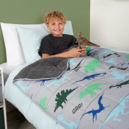OHS Weighted Blanket Kids Dino Sensory Sleep Therapy Anxiety Soft Teddy Fleece Throw in Grey - thumbnail 3