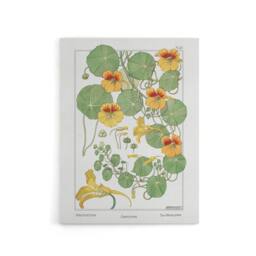 "Artery8 Nasturtium Flower Canvas Wall Art Print Vintage Floral Verneuil in White - Size: W18"" x H24""" - thumbnail 1