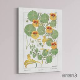 "Artery8 Nasturtium Flower Canvas Wall Art Print Vintage Floral Verneuil in White - Size: W18"" x H24""" - thumbnail 2