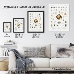 "Artery8 Sea Snail Varieties Set Augustus Gould Wall Art Print in White - Size: W12"" x H16""" - thumbnail 3