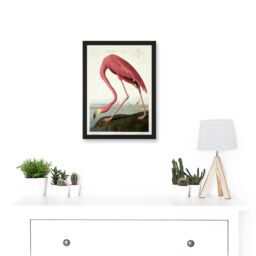 Artery8 Painting Nature Audubon American Flamingo A4 Artwork Framed Wall Art Print in Black - thumbnail 2