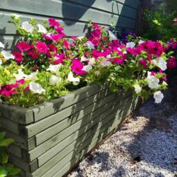 Access Garden Products Pine raised trough planter (L) 200cm × (H) 40cm × (D) 40cm in Green - thumbnail 5