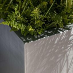 Primrose Zinc Square Outdoor Galvanised Silver Cube Planter Plant Pot 60cm - thumbnail 4