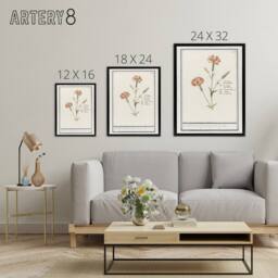 "Artery8 Carnation Dianthus Flower Anselmus de Boodt Framed Canvas Wall Art in White - Size: W12"" x H16""" - thumbnail 4