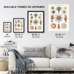 "Artery8 Marine Jellyfish in sea colourful Haeckel Vintage Wall Art Print Poster in White - Size: W12"" x H16""" - thumbnail 3