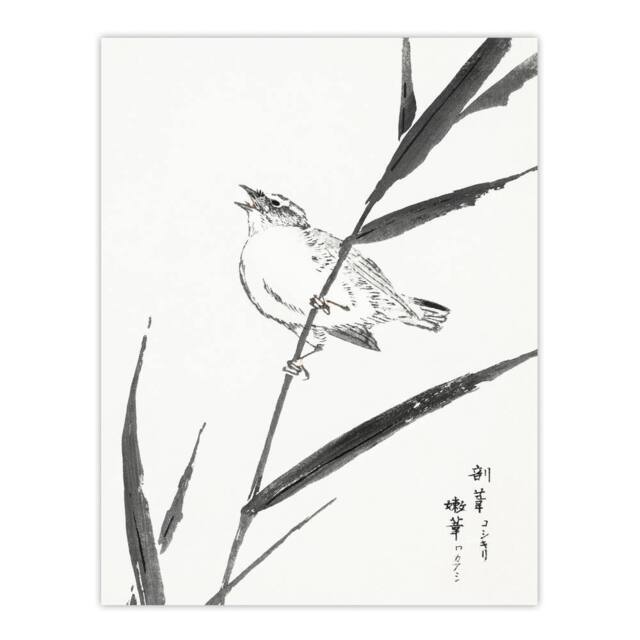 "Artery8 Reed Bunting & Reed Japanese Japan Wall Art Print Numata Kashu - Size: W12"" x H16""" - image 1