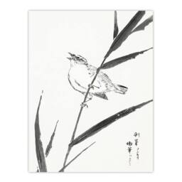 "Artery8 Reed Bunting & Reed Japanese Japan Wall Art Print Numata Kashu - Size: W12"" x H16""" - thumbnail 1