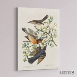 "Artery8 Mountain Mocking Bird & Thrush Audubon Nature Canvas Wall Art in White - Size: W18"" x H24""" - thumbnail 2