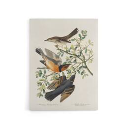 "Artery8 Mountain Mocking Bird & Thrush Audubon Nature Canvas Wall Art in White - Size: W18"" x H24""" - thumbnail 1
