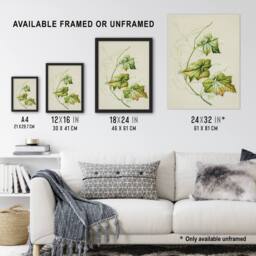 "Artery8 New Zealand Sicyos Australis Mawhai Plant Featon Wall Art Print in Beige - Size: W18"" x H24""" - thumbnail 3