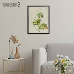 "Artery8 New Zealand Sicyos Australis Mawhai Plant Featon Framed Canvas Art in Beige - Size: W12"" x H16""" - thumbnail 3