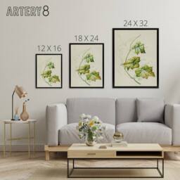 "Artery8 New Zealand Sicyos Australis Mawhai Plant Featon Framed Canvas Art in Beige - Size: W12"" x H16""" - thumbnail 4
