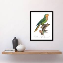 Artery8 The Yellow Headed Amazon Parrot Levaillant Framed Wall Art Print in White - Size: A4 - thumbnail 4