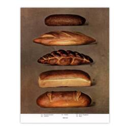 Artery8 Grocers Encyclopedia Framed Wall Art Print Baked Bread Loaves in Brown - Size: A4 - thumbnail 3