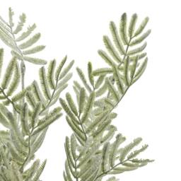 Lemon Pavilion Furniture and Decor Artificial Silver Wattle Leaf - Plastic - L22 x W22 x H73 cm - Green - thumbnail 6