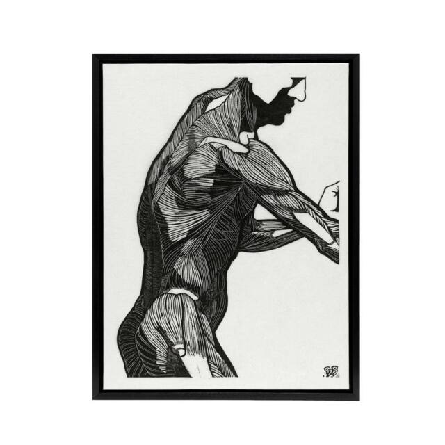 "Artery8 Anatomical study of mans lateral muscles Stolk Framed Canvas Wall Art in White - Size: W12"" x H16""" - image 1