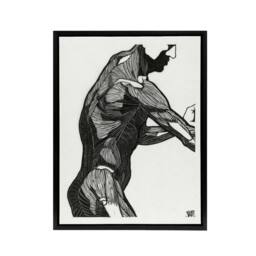 "Artery8 Anatomical study of mans lateral muscles Stolk Framed Canvas Wall Art in White - Size: W12"" x H16""" - thumbnail 1