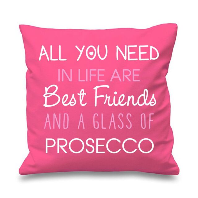 "60 SECOND MAKEOVER Pink Cushion Cover All You Need In Life Are Best Friends & A Glass Of Prosecco 16"" x 16"" Mum Friend Gift Decorative Cu"