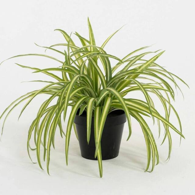 VOGREX Artificial - 25cm Spider Plant - Indoor Fake Green Houseplant - image 1