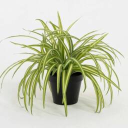 VOGREX Artificial - 25cm Spider Plant - Indoor Fake Green Houseplant - thumbnail 1