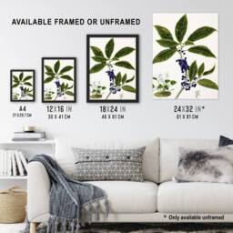 Artery8 New Zealand Mahoe Whiteywood Plant Featon Framed Wall Art Print in Beige - Size: A4 - thumbnail 3