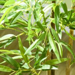 Wyld Haus Artificial Bamboo Tree in Pot 120cm in Green - thumbnail 9