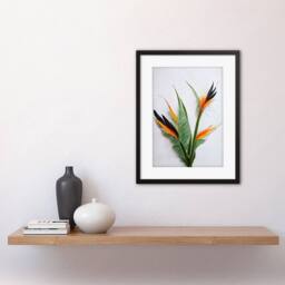 "Artery8 Bird of Paradise Stem Leaves Flowers Tropical Plant Framed Art in Green - Size: W12"" x H16""" - thumbnail 2