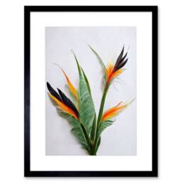 "Artery8 Bird of Paradise Stem Leaves Flowers Tropical Plant Framed Art in Green - Size: W12"" x H16""" - thumbnail 1