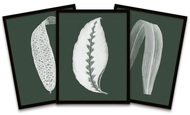 "Wee Blue Coo Wall Art Print Botanics Hunter Green White Leaves Ferns Nature Black Framed Poster Pack of 3 - Size: W12"" x H16""" - image 1