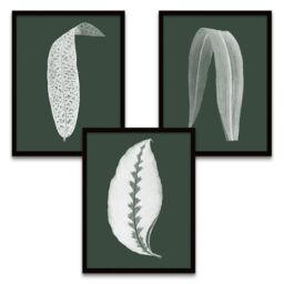 "Wee Blue Coo Wall Art Print Botanics Hunter Green White Leaves Ferns Nature Black Framed Poster Pack of 3 - Size: W12"" x H16""" - thumbnail 2