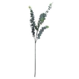 Hill Interiors Artificial Tall Single Stem Silver Dollar Eucalyptus in Green - thumbnail 1