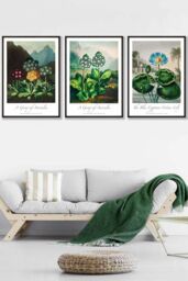 ARTZE Vintage Auricula & Lily Flowers Floral Framed Wall Art - Large in Black - Size: W53 cm x H73 cm x D20mm