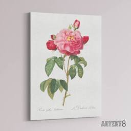 "Artery8 French Rose Botanical Redoute Vintage Canvas Wall Art in White - Size: W18"" x H24""" - thumbnail 2