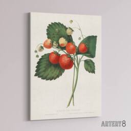 "Artery8 Boston Pine Strawberry Plant Hovey Vintage Canvas Wall Art in White - Size: W18"" x H24""" - thumbnail 2