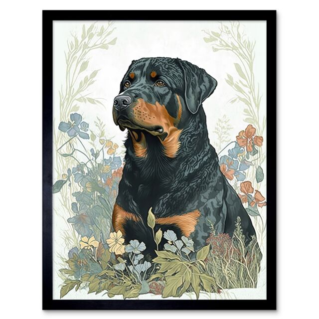 "Artery8 Wall Art Print Rottweiler Dog Sitting in Flower Field Modern Watercolour Art Framed in Black - Size: W12"" x H16""" - image 1