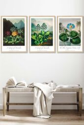 ARTZE Vintage Auricula & Lily Flowers Floral Framed Wall Art - Large in Light Oak - Size: W53 cm x H73 cm x D20mm - thumbnail 1