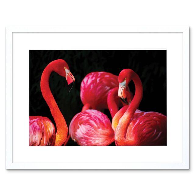 "Artery8 Wall Art Print Pink Flamingo Bird Group Framed in White - Size: W7"" x H9""" - image 1