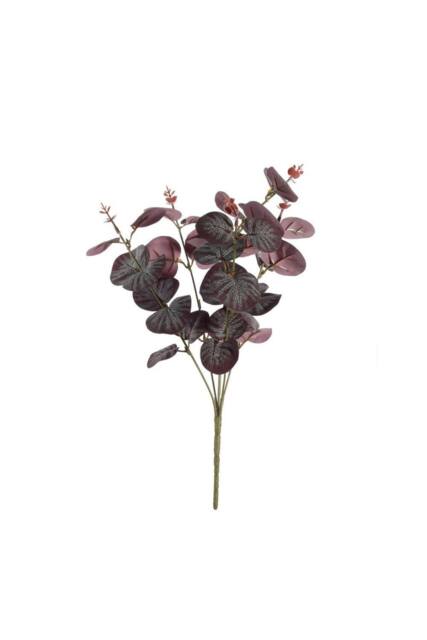 KDMD Essential Purple Eucalyptus Bush 5 Pack - image 1