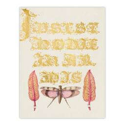 Artery8 Model Book of Calligraphy Framed Wall Art Chard & Red Winged Grasshopper in Gold - Size: A4 - thumbnail 3