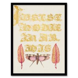 Artery8 Model Book of Calligraphy Framed Wall Art Chard & Red Winged Grasshopper in Gold - Size: A4 - thumbnail 1
