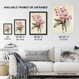Artery8 Frederick Sander Cattleya Elegans Orchid Flowers Framed Wall Art Print in White - Size: A4 - thumbnail 3