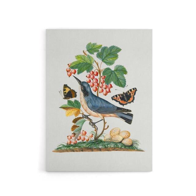 "Artery8 Warbler Bird & Red Admiral Butterfly Bolton Canvas Wall Art in White - Size: W18"" x H24""" - image 1