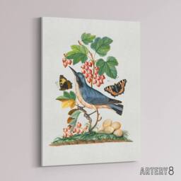 "Artery8 Warbler Bird & Red Admiral Butterfly Bolton Canvas Wall Art in White - Size: W18"" x H24""" - thumbnail 2