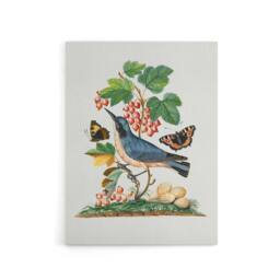 "Artery8 Warbler Bird & Red Admiral Butterfly Bolton Canvas Wall Art in White - Size: W18"" x H24""" - thumbnail 1